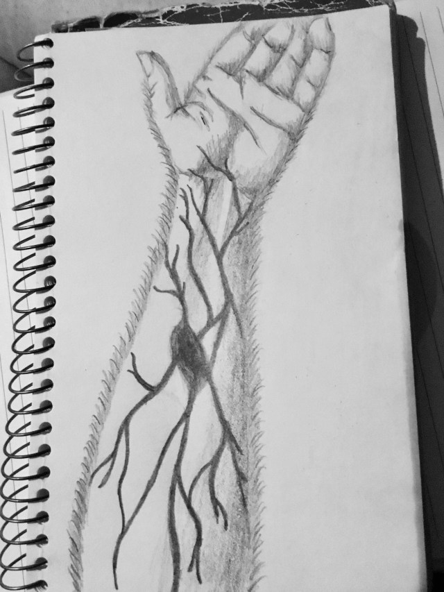 6E27E94E-798F-4A35-8919-2ED458687502